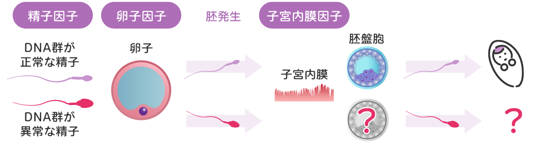 生児獲得率に影響する因子